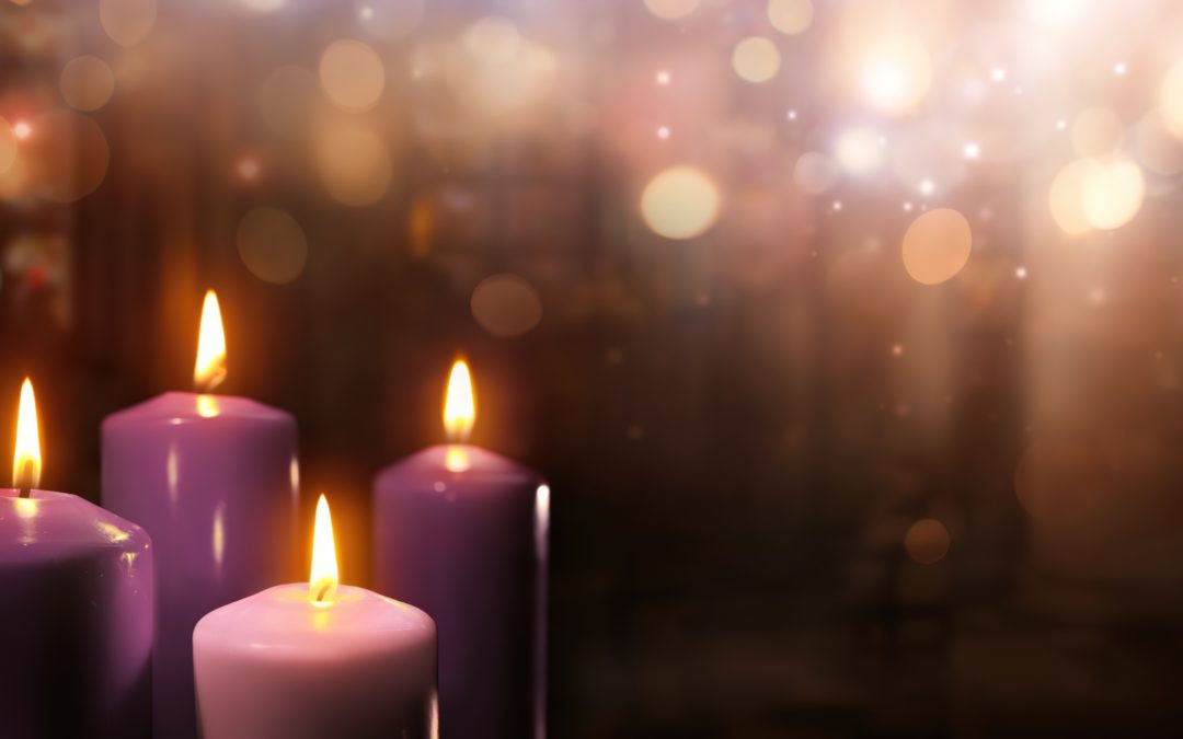 Seedbeds Advent Appeal 2020